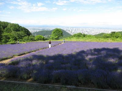 両親を北海道へ連行する旅 2日目(2025.7.10)