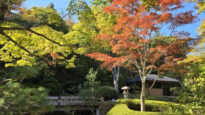 2025年10月24日～紅葉の始まった福島白河で松平定信縁の地をめぐる　リッチモンドホテル福島駅前