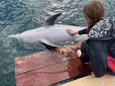 動物ふれあい旅(伊東)