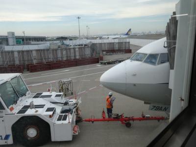 2025年10月北海道弾丸旅行7（羽田空港から帰途）