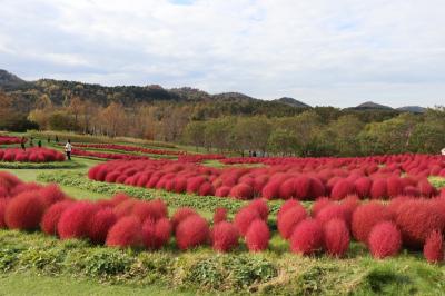 ゆにガーデンに行ってきた