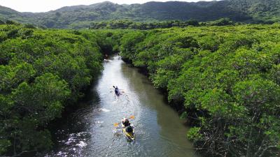 5泊6日 与那国・石垣の旅(4~6日目)