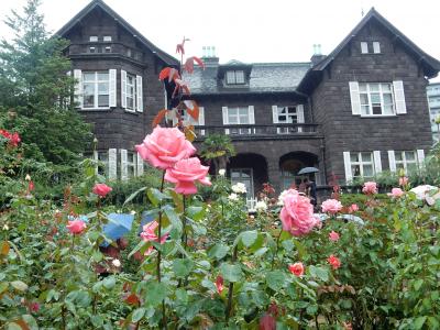 「　秋の バラフェスティバル　　　 旧古河庭園　さんぽ　」2025