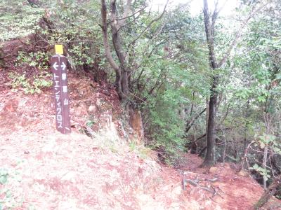 六甲山全縦走路の第3区間(市ケ原→記念碑台前)を歩きました。