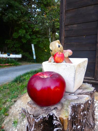 棚倉から大子町へ②　藤田観光りんご園と袋田の滝