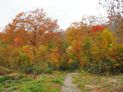 色づく裏磐梯へその3　五色沼＆紅葉真っ盛りのデコ平湿原散策編