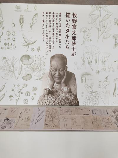 初めての高知　1日目　牧野植物園　溢れる草花たちに癒されて