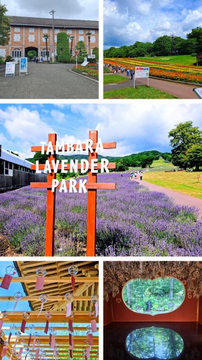 夏・ラベンダーと世界遺産☆☆☆