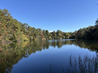 福島県で紅葉狩り②(五色沼湖沼群と猪苗代湖)