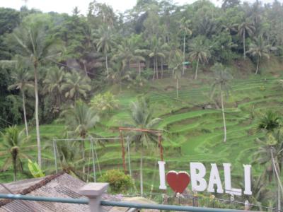 バリ島が好き!②完