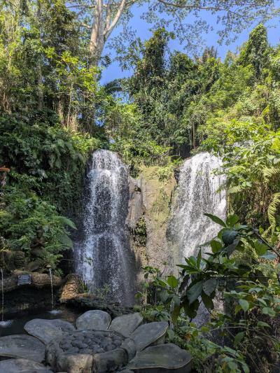 久しぶりのバリ島旅行④終日カーチャーター