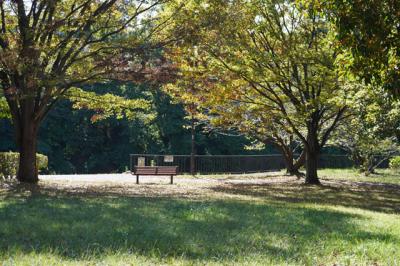 鮎壺公園へ 2025.10.18