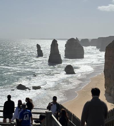2025年10月メルボルン~アデレード、春の花と動物たち、アボリジニアート、ワインに出会う旅ー4