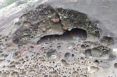 高知（室戸岬・足摺岬・見残し海岸・竜串海岸・柏島）③