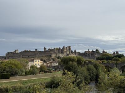 【カルカソンヌ】リフレッシュ休暇でスペインへ⑨-2