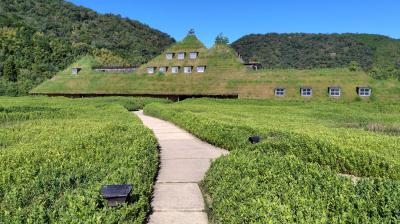 四国Ｗライン旅行記６：旅の最後は琵琶湖半周