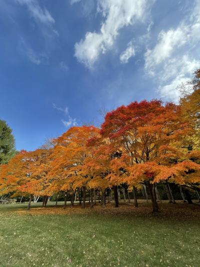 定山渓の紅葉を楽しむ秋旅