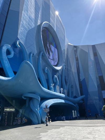 深圳から上海に行って上海のスキー場で滑りました。