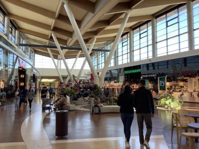 オーストリア　ウィーン　CLT建築の見学