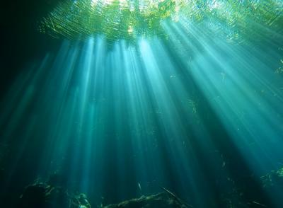 ソロトラベラー(メキシコ プラヤ・デル・カルメンからカンクン)♯532