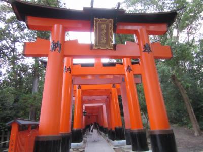 2025年10月18日：墓参のついでにあちこち観光（中編）早朝の伏見稲荷大社を散策