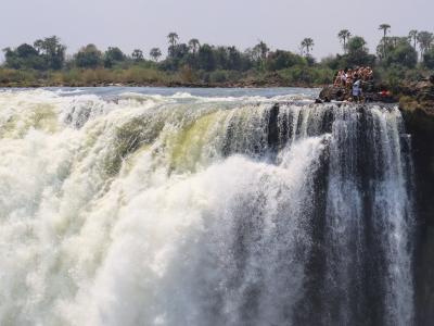 自然の宝庫 アフリカ紀行 2025 /８日目(9/13)