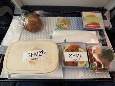 ANAバンコク搭乗記2025/04　その1(HND-BKK Y)：往路　深夜便エコノミー3席利用