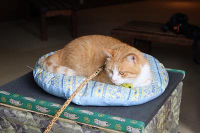 倉敷から岡山北上