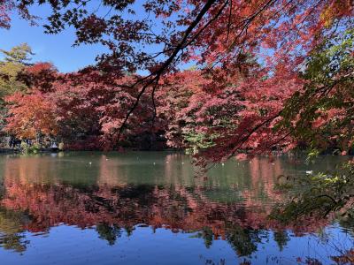 2025年11月 紅葉の軽井沢2泊3日