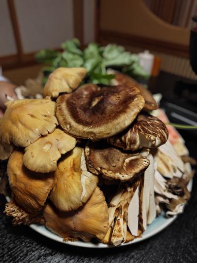 【長野】松茸の季節