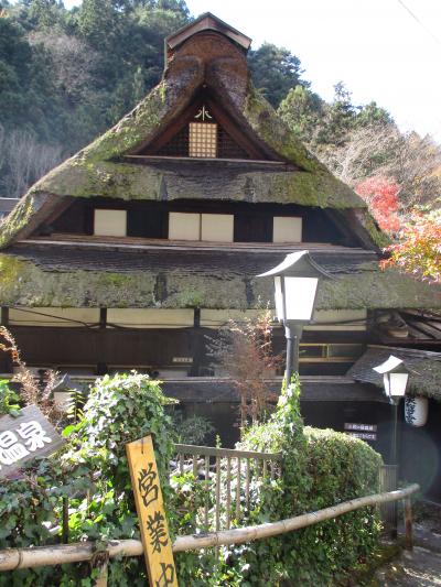 秋の西東京旅行④