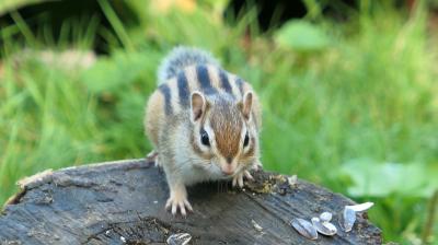 高級宿ツアーおまけの観光で巡る北海道