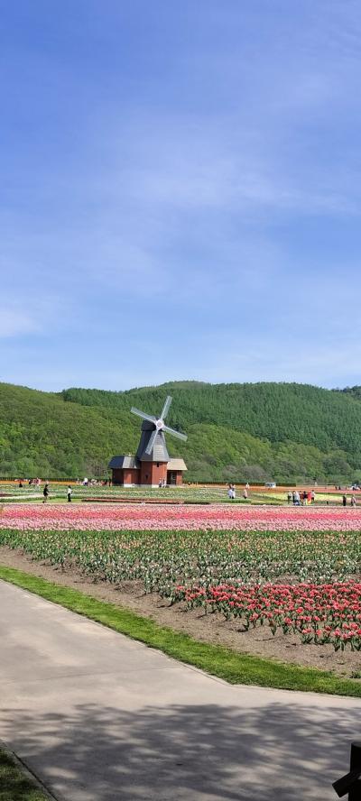 ２０２５年５月、道東旅2