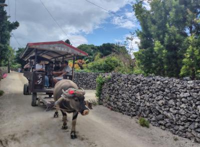 ず～っと雨予報の石垣島  。。。【1】