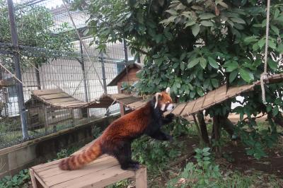 &#128018;市川市動植物園から道の駅いちかわ&#128665;