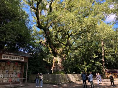 名古屋出張＆息子の初名古屋
