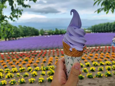 北海道で登別-積丹-富良野と車で走り回った4日間の温泉・食事旅 Part3