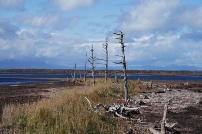 秋色と冬色の道東へ【3】~ようやくのトドワラと晴れの摩周湖~