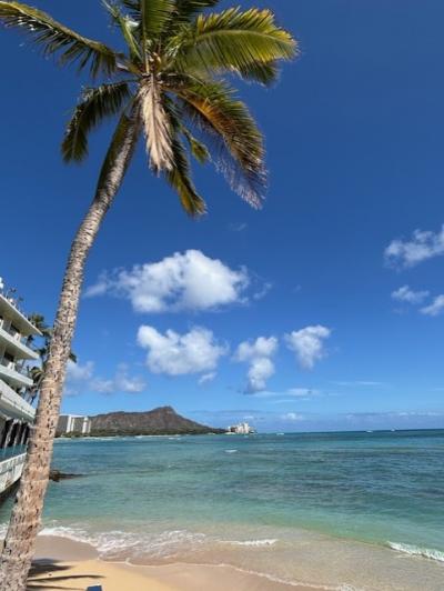 2025年6月　待望！のホヌに乗ってハワイへ☆Vol.5