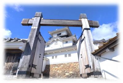 旧車で最後のドライブ(掛川城・さわやかのハンバーグ・法多山尊永寺厄除け団子)