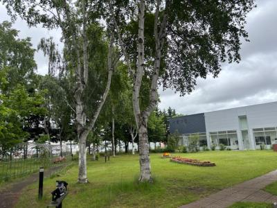 旭川2日目はカフェへ、帰りのフライトは大幅に遅れたがいい事もあったよ