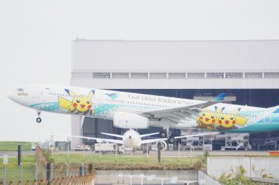 思い立ってソラムナード羽田緑地