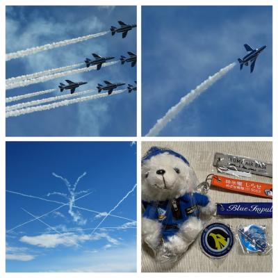 2025/11/3久しぶりに入間航空祭へ　やはりブルーインパルスは大人気