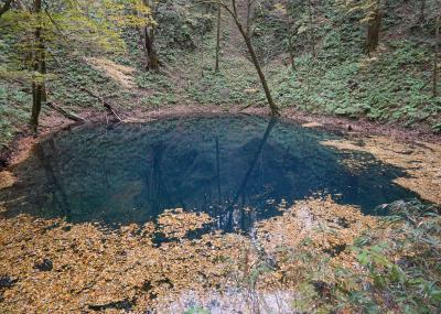 みちのく紅葉絶景めぐり 3日間(2)~世界遺産・白神山地「青池」と絶景の「五能線」