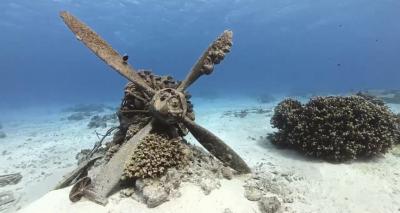 【ダイビング】サイパンで潜りまくる4泊5日