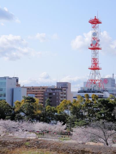 行くなら今でしょ!! 不意に思いついた高松行き 5 最終日