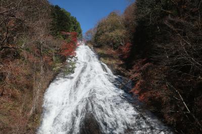&#127809;日光湯元へ紅葉を見に行ったら､まさかの吹雪&#9924;