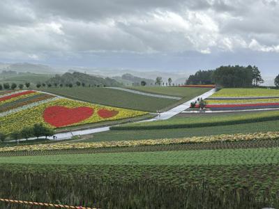 酷暑の都心を脱出して札幌から富良野、そして旭川へ。⑥美瑛の四季彩の丘の花の絨毯～道の駅 びえい「丘のくら」。