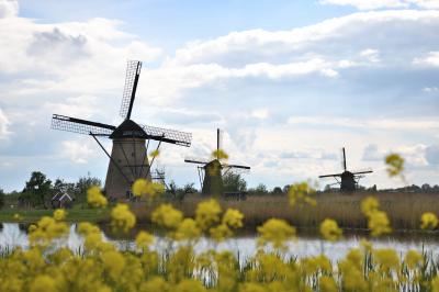 103。*:.。オランダ,チェコ,フランス34日間の旅 ☆キンデルダイク-3(最終) ☆.。.:*