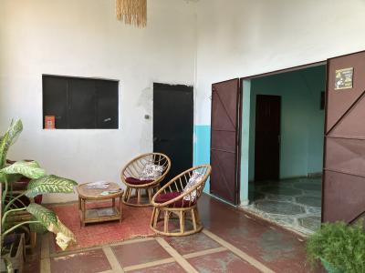 30日間の1１日目　ツインギールージュとアンカラナ保護区のツインギー